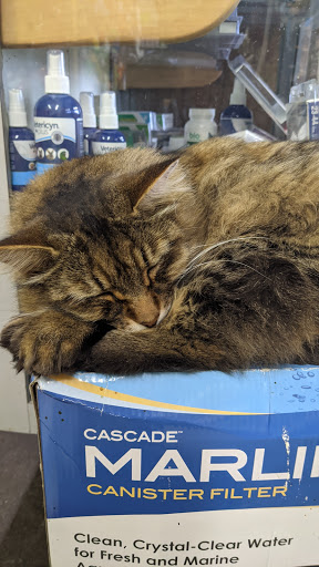 Tropical Fish Store «Midway Tropical Fish & Pets», reviews and photos, 24101 Pacific Hwy S, Kent, WA 98032, USA