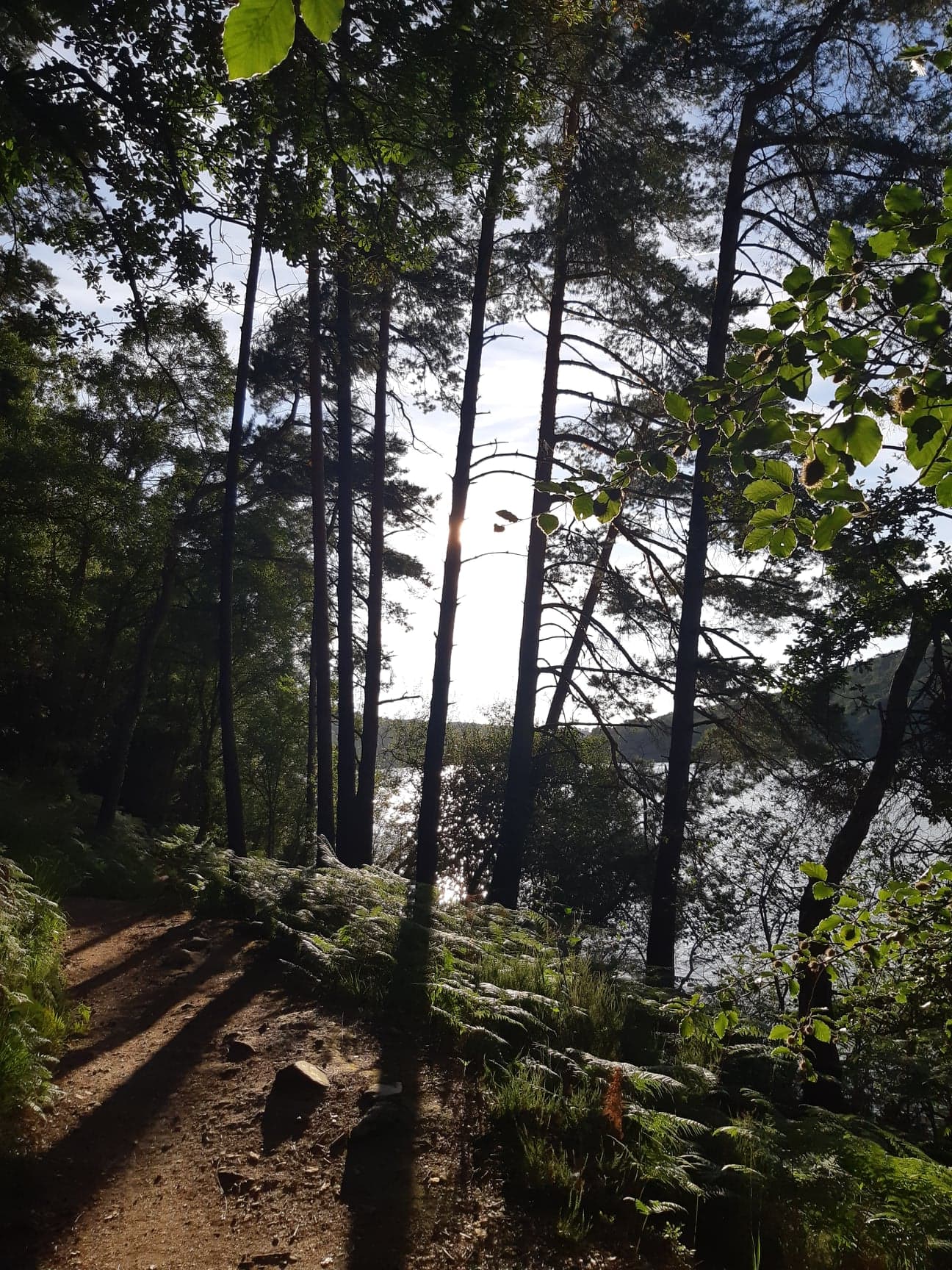 Photo n° 4 de l'avis de Mimi. fait le 23/09/2019 à 16:04
