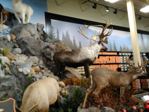 Outdoor Sports Store «Field & Stream», reviews and photos, 5215 Century Ave, Kalamazoo, MI 49006, USA