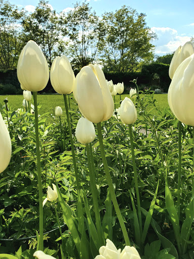 Beatrix Farrand Garden at Bellefield image 9