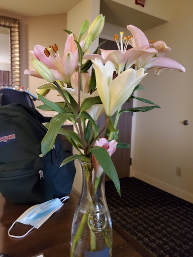 Hotel «Embassy Suites by Hilton Palm Beach Gardens PGA Boulevard», reviews and photos, 4350 PGA Boulevard, Palm Beach Gardens, FL 33410, USA