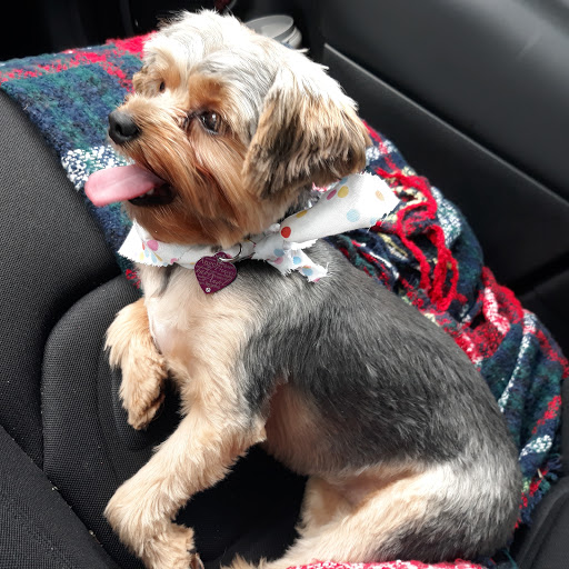 Pet Supply Store «Petco Animal Supplies», reviews and photos, 18578 Coastal Hwy #12, Rehoboth Beach, DE 19971, USA