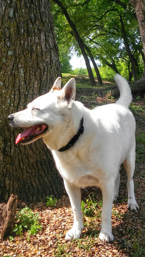 Memorial Park «Harrington Park», reviews and photos, 1815 S Cockrell Hill Rd, Duncanville, TX 75137, USA