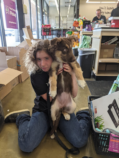 Pet Supply Store «Pet Supplies Plus», reviews and photos, 1155 Washington Pike, Bridgeville, PA 15017, USA