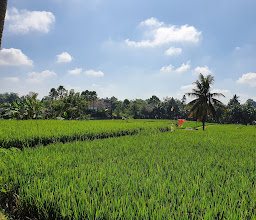 Kajeng Rice Field photo