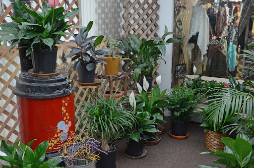 Florist «Powell the Florist», reviews and photos, 1215 Liberty Dr, Mishawaka, IN 46545, USA