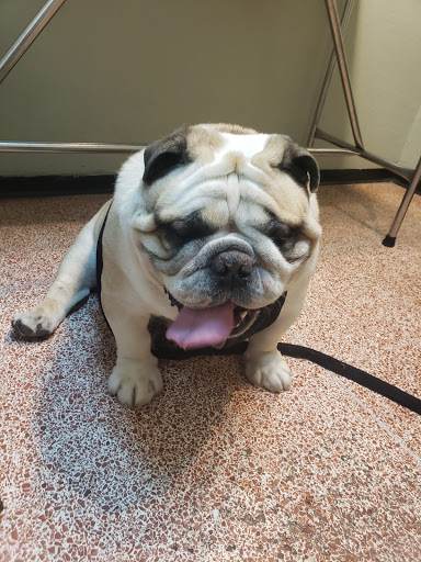 1120 S Cherokee Ln, Lodi, CA 95240, USA