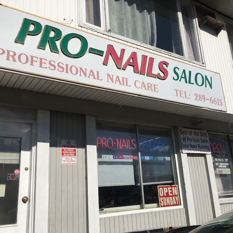 Pro Nails Salon
