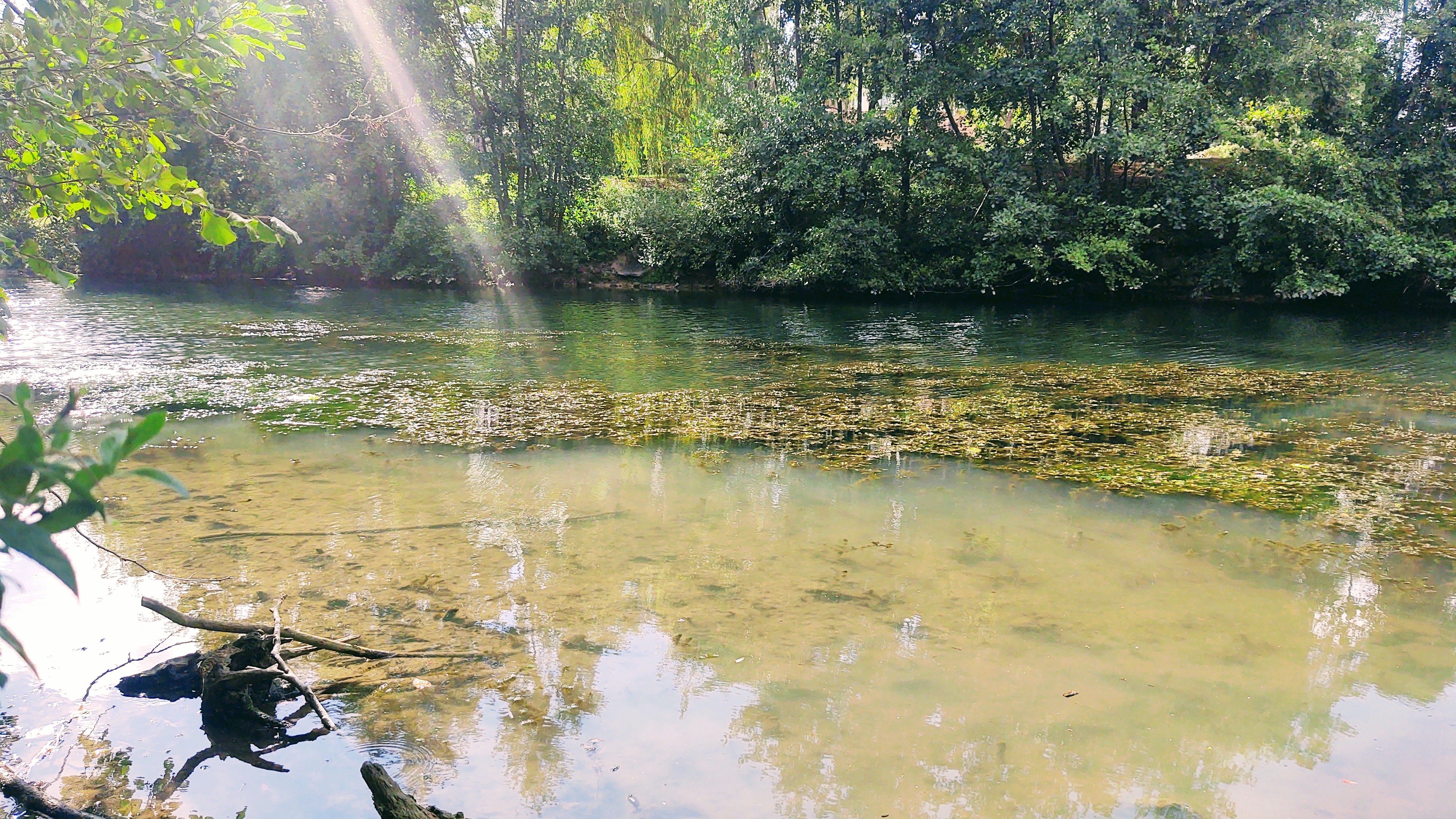 Photo n° 12 de l'avis de Polski.l fait le 02/09/2020 à 14:34