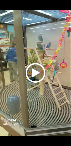 Pet Supply Store «Petco Animal Supplies», reviews and photos, 8551 S Howell Ave, Oak Creek, WI 53154, USA