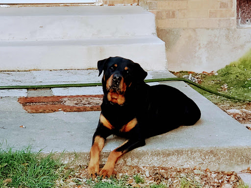 Auto Repair Shop «Katc Automotive llc», reviews and photos, 314 Old Millwood Rd, Rockwall, TX 75087, USA