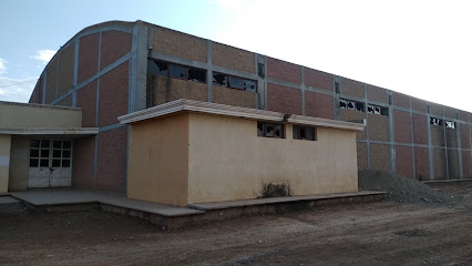 Auditorio municipal - 98150 El Lampotal, Zacatecas, Mexico