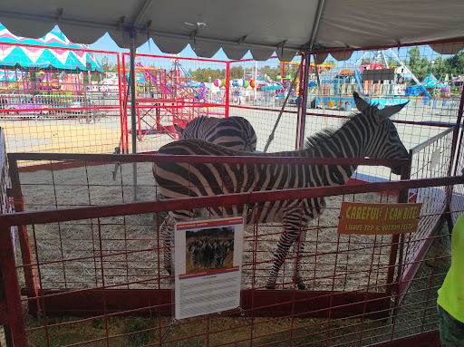 Arena «The Family Arena», reviews and photos, 2002 Arena Pkwy, St Charles, MO 63303, USA