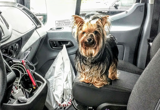 Department Store «Walmart Supercenter», reviews and photos, 17 Myrick St, Lamoine, ME 04605, USA