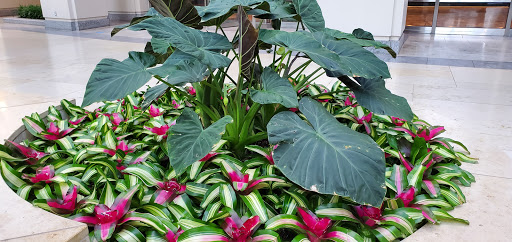 Observatory «Skywalk Observatory», reviews and photos, 800 Boylston St, Boston, MA 02199, USA