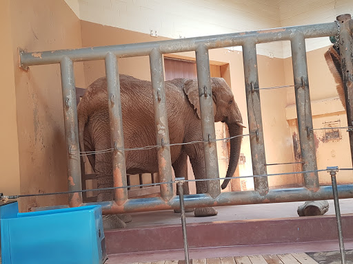 Zoo «Zoo Atlanta», reviews and photos, 800 Cherokee Ave SE, Atlanta, GA 30315, USA