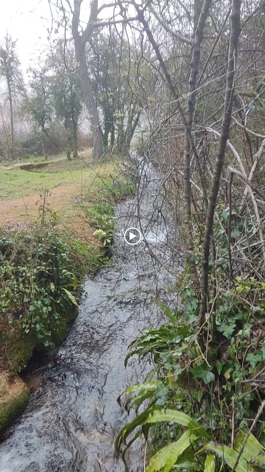 Photo n° 2 de l'avis de Ikio48. fait le 13/04/2023 à 08:37