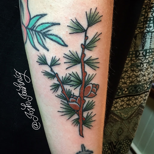 Explore butterfly semicolon tattoo ideas, creative tattoo ideas in Houghton, available at Bramble & Stag Tattoo Parlour