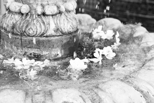 Wedding Venue «Aldea at Tlaquepaque», reviews and photos, 4150 W Peoria Ave # 132, Phoenix, AZ 85029, USA