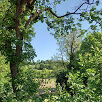 Photo n°3 de l'avis de Chiara.u fait le 09/05/2021 à 15:30 sur le  Cascina Le Volpi Agriturismo à Solferino