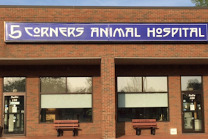 5 Corners Animal Hospital image