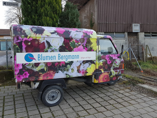 Blumen Bergmann, Gärtnerei, Bolligen/Flugbrunnen - Blumengeschäft