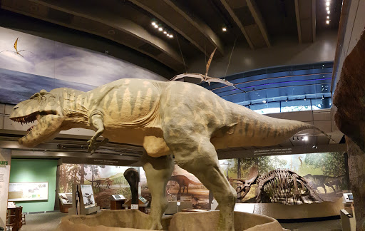 Science Museum «Museum of Science», reviews and photos, 1 Science Park, Boston, MA 02114, USA