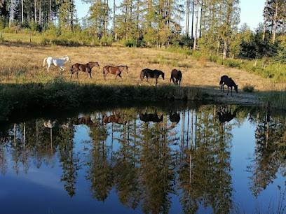 Ecuries de la forêt d'Anlier