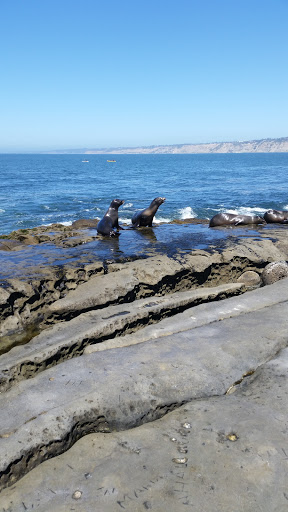 Tourist Attraction «San Diego-La Jolla Underwater Park», reviews and photos, 8302 Camino Del Oro, La Jolla, CA 92037, USA