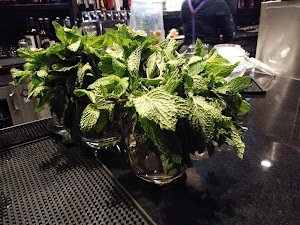 IPIC Theaters - photo 82