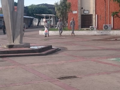 Photos of Arauco