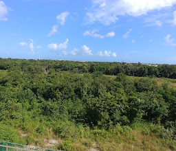 RESIDENCIAL VISTA ALEGRE photo