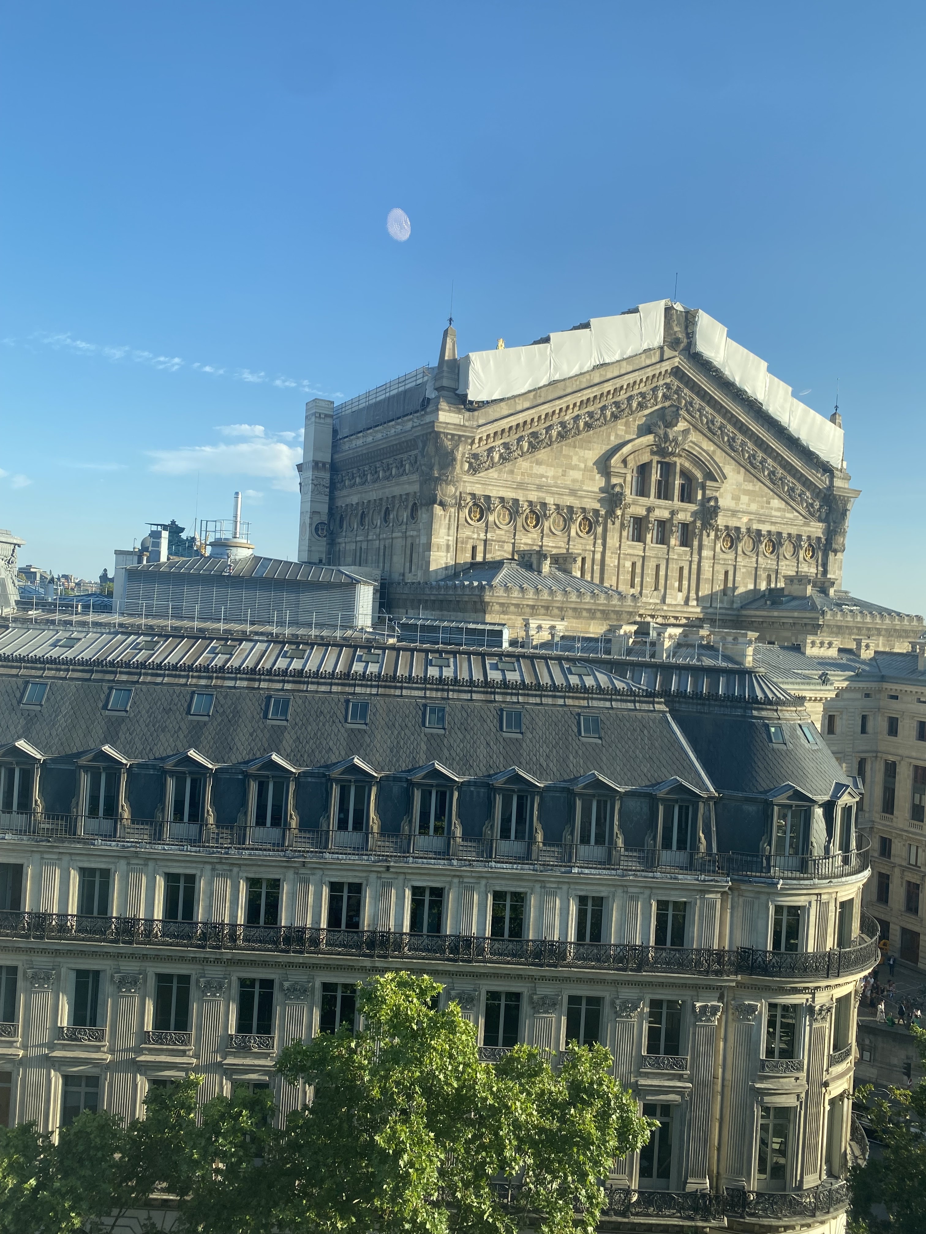 Photo n° 2 de l'avis de Cris.o fait le 10/08/2023 à 16:28