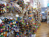 Jungle Junction - Photo 9 - Car repair in Cumberland, RI, Providence