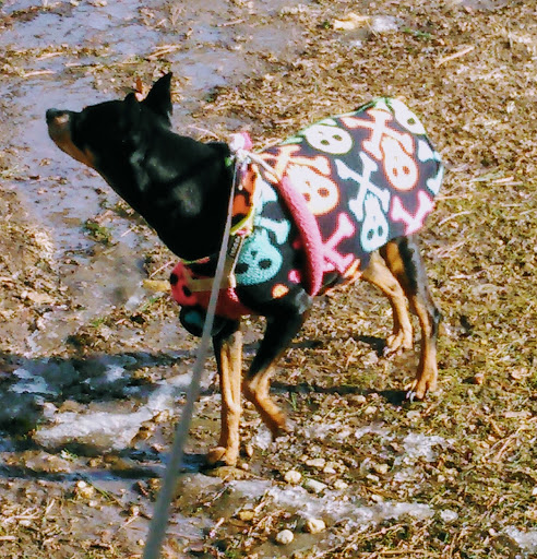 Rutland Veterinary Clinic image