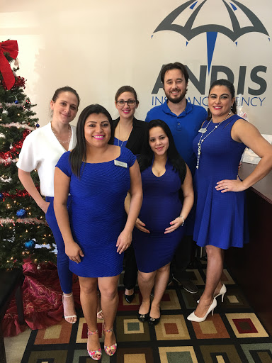 Auto Insurance Agency «Andis Insurance Agency», reviews and photos