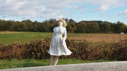 Produce Market «Solly Brothers», reviews and photos, 707 Almshouse Rd, Warminster, PA 18974, USA