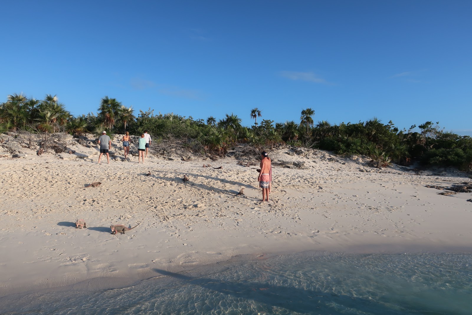 Foto av Iguana beach beläget i naturområde
