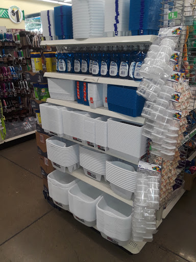Dollar Store «Dollar Tree», reviews and photos, 10408 Trinity Pkwy a, Stockton, CA 95219, USA