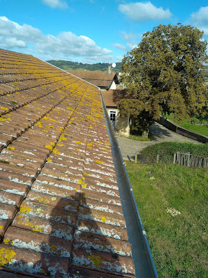Delit De Fuite à Les Abrets en Dauphiné
