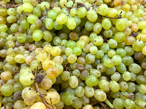 Supermarket «Trinethra Indian Super Markets», reviews and photos, 39207 Cedar Blvd, Newark, CA 94560, USA