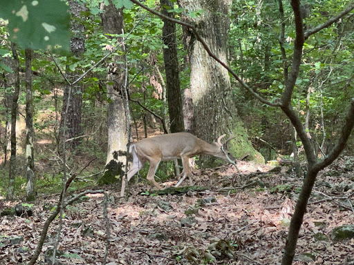 National Park «Kennesaw Mountain National Battlefield Park», reviews and photos, 900 Kennesaw Mountain Dr, Kennesaw, GA 30188, USA
