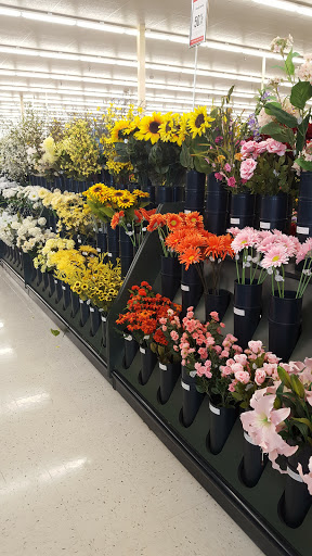 Craft Store «Hobby Lobby», reviews and photos, 3850 Conlon Way w, Elizabeth City, NC 27909, USA