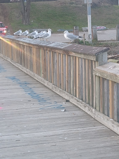 Historical Landmark «Fort Armistead», reviews and photos, Fort Armistead Rd, Baltimore, MD 21226, USA