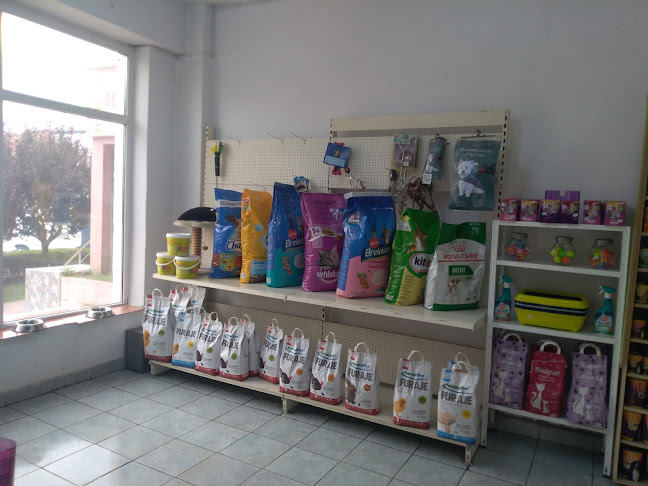 Farmacie veterinară