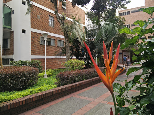 Universidades de publicidad en Bucaramanga