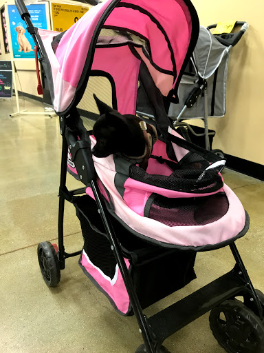 Pet Supply Store «PetSmart», reviews and photos, 162 S Gary Ave, Bloomingdale, IL 60108, USA