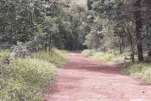 Karura Foot Path image