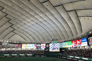 Tokyo Dome image