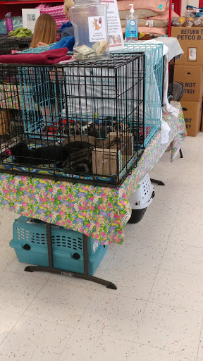 Pet Supply Store «Petco Animal Supplies», reviews and photos, 2005 Crow Canyon Pl, San Ramon, CA 94583, USA